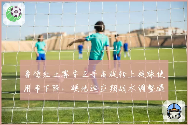 鲁德红土赛季正手高旋转上旋球使用率下降，硬地适应期战术调整遇阻